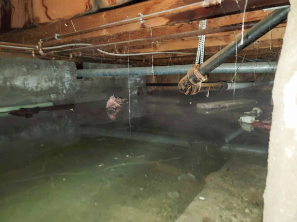 Best Water damage restoration cost  in Mccaysville, GA