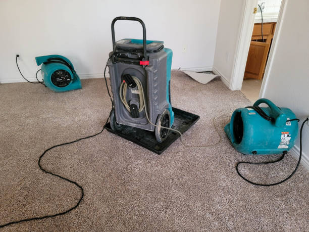 Best Basement water damage restoration  in Mccaysville, GA