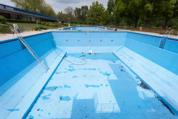 Best Mold removal after water damage  in Mccaysville, GA