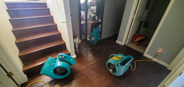 Best Flood damage cleanup  in Mccaysville, GA