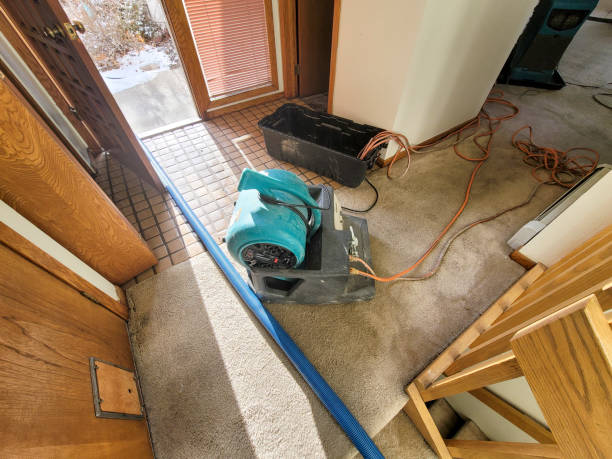 Best 24/7 water damage repair  in Mccaysville, GA