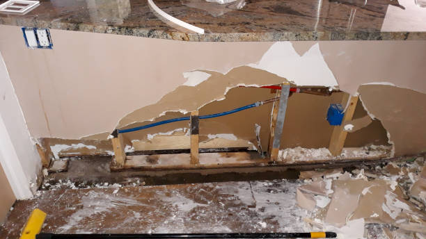Best Flooded house restoration  in Mccaysville, GA