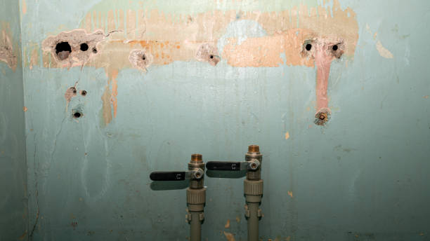 Best 24-hour water damage restoration  in Mccaysville, GA