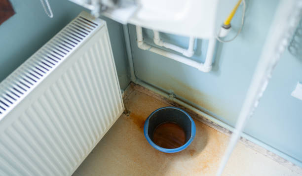 Best Sewage cleanup and water damage restoration  in Mccaysville, GA