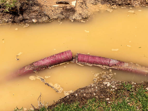 Best Local water damage restoration  in Mccaysville, GA