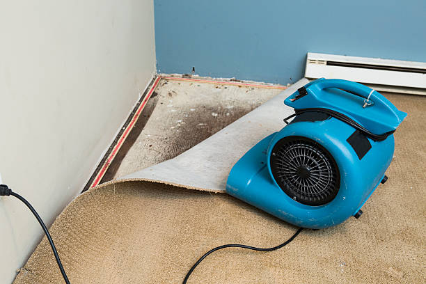 Best Commercial water damage restoration  in Mccaysville, GA